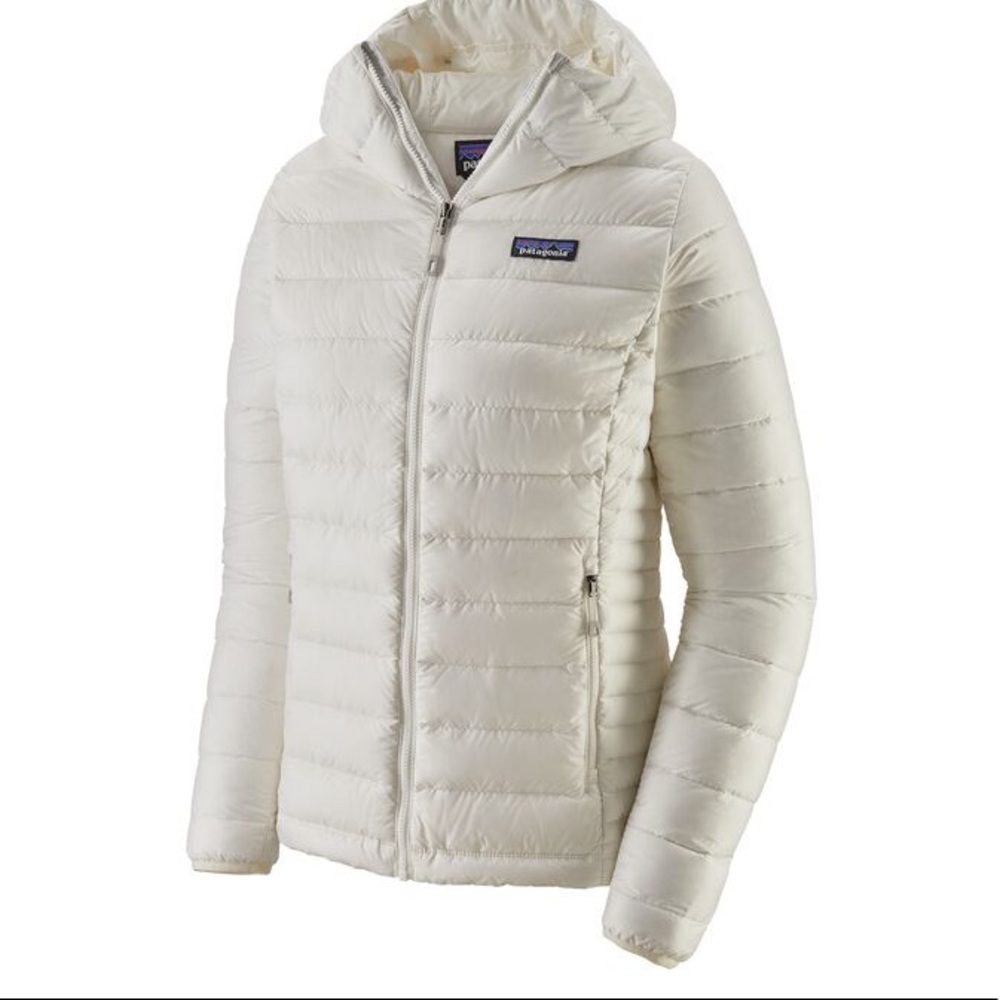 NWT Patagonia Down Sweater Hoody
